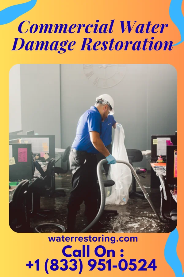 Commercial Water Damage Restoration in Wonewoc, WI