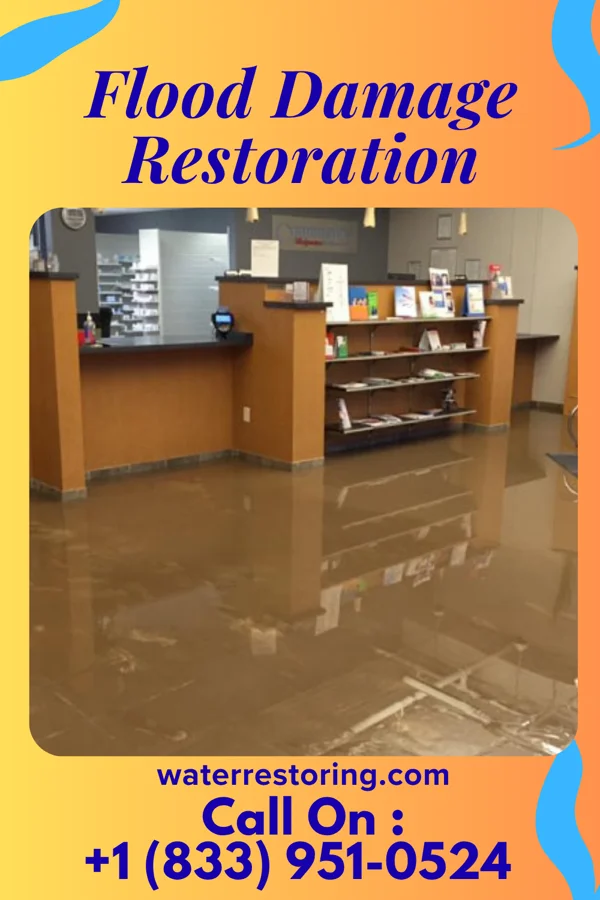 Flood Damage Restoration in Wonewoc, WI