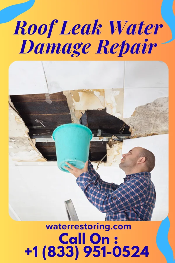 Roof Leak Water Damage Repair in Wonewoc, WI