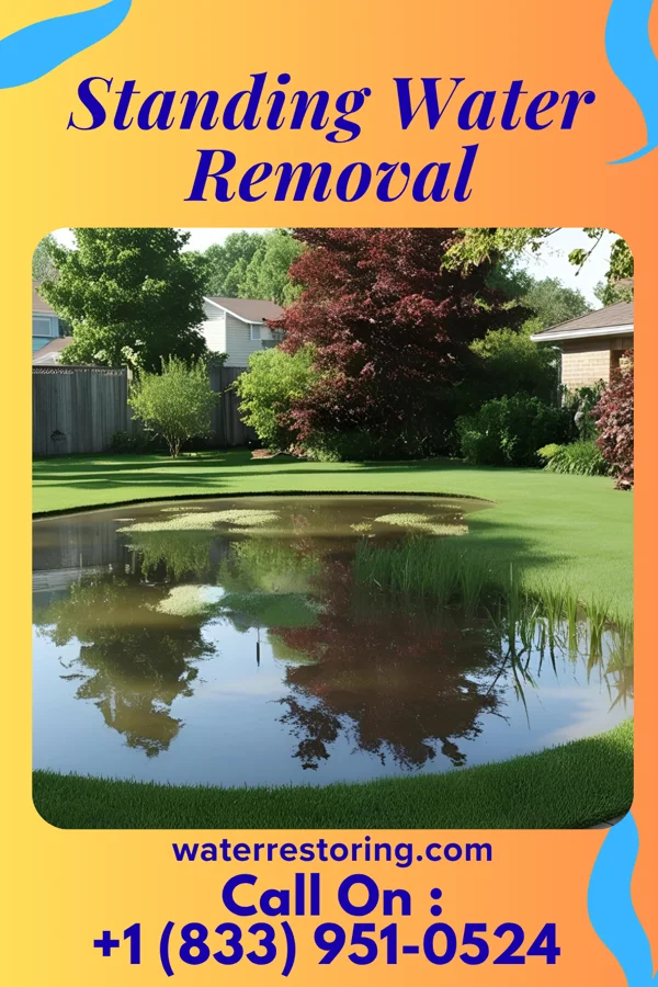 Standing Water Removal in Wonewoc, WI